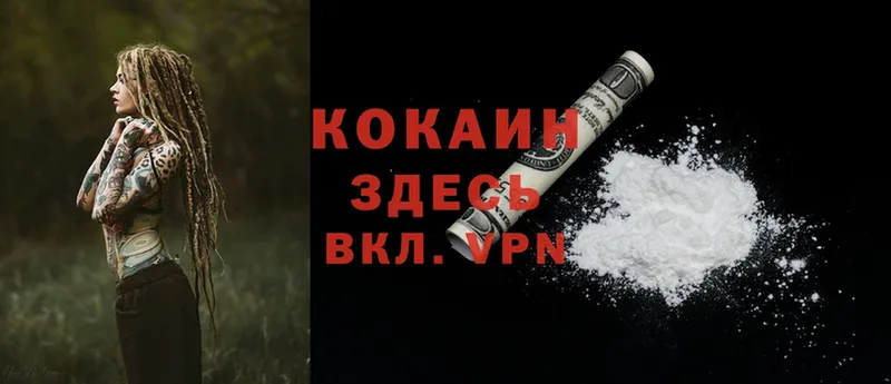 COCAIN Fish Scale Новошахтинск